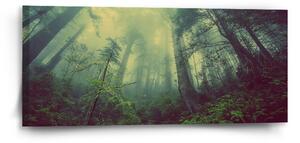 Sablio Obraz Temný les - 110x50 cm