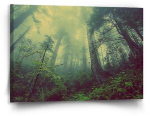 Sablio Obraz Temný les - 90x60 cm