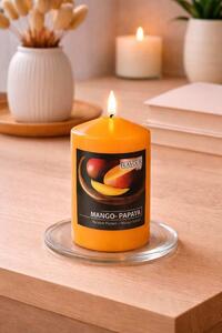 Vonná svíčka válec vůně mango-papaya 11cm 9000267