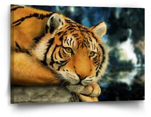 Sablio Obraz Tygr - 60x40 cm