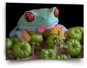 Obraz SABLIO - Veselá žába 90x60 cm