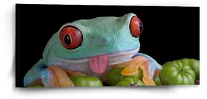 Sablio Obraz Veselá žába - 110x50 cm