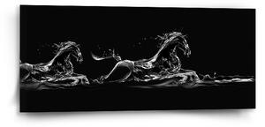 Sablio Obraz Vodní kůň - 110x50 cm