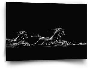 Sablio Obraz Vodní kůň - 60x40 cm
