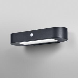 OSRAM LED nástěnné světlo se senzorem ENDURA STYLE SOLAR OVAL 34 cm 830, Černá, Hliník, Moderní