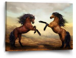 Sablio Obraz Vzpínající se koně - 60x40 cm