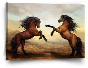 Sablio Obraz Vzpínající se koně - 90x60 cm