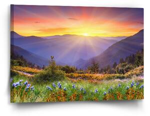 Sablio Obraz Západ slunce nad lesem - 60x40 cm