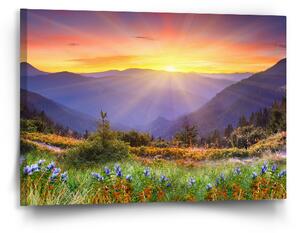 Sablio Obraz Západ slunce nad lesem - 90x60 cm