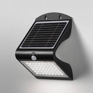 OSRAM LED solární nástěnné světlo ENDURA FLOOD BUTTERFLY, 4 W senzor, Černá, Plast, Moderní, Solární lampy