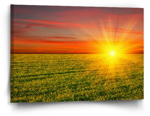 Sablio Obraz Západ slunce nad loukou - 60x40 cm