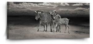 Sablio Obraz Zebry - 110x50 cm