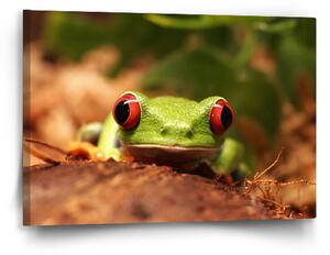 Sablio Obraz Zelená žába - 60x40 cm