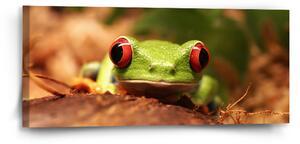 Sablio Obraz Zelená žába - 110x50 cm