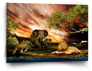 Sablio Obraz Zvířata ze Sahary - 60x40 cm