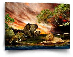 Sablio Obraz Zvířata ze Sahary - 90x60 cm