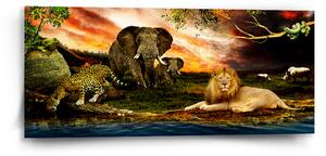 Sablio Obraz Zvířata ze Sahary - 110x50 cm