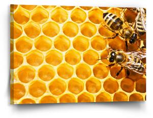 Sablio Obraz Včely - 90x60 cm