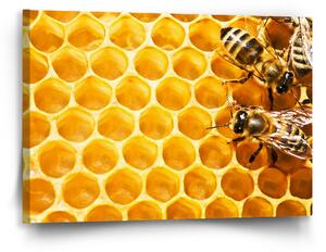 Sablio Obraz Včely - 60x40 cm