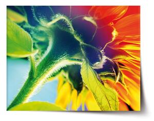 Sablio Plakát Duhová květina - 60x40 cm