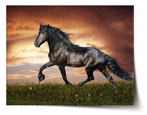 Plakát SABLIO - Friský kůň 60x40 cm