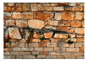 Fototapeta - Kamenná zeď VI 200x140 + zdarma lepidlo