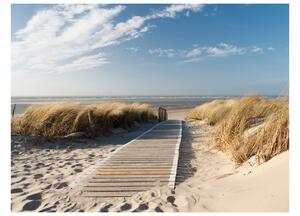 Fototapeta - North Sea beach, Langeoog 200x154 + zdarma lepidlo