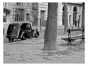 Fototapeta - Klidná francouzská ulice 250x193 + zdarma lepidlo