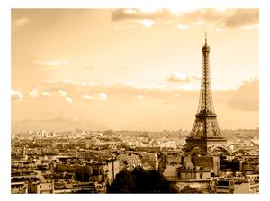 Fototapeta - Paříž - panoráma 200x154 + zdarma lepidlo