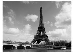 Fototapeta - Seina a Eiffelova věž 200x154 + zdarma lepidlo