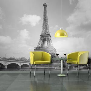 Fototapeta - Seina a Eiffelova věž 200x154 + zdarma lepidlo