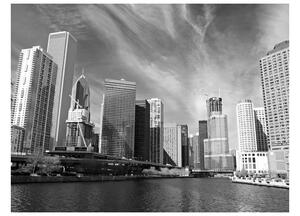 Fototapeta - Chicago panoráma (černá a bílá) 200x154 + zdarma lepidlo
