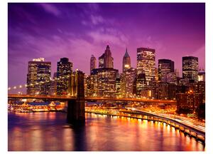 Fototapeta - Manhattan a Brooklynský most v noci 250x193 + zdarma lepidlo
