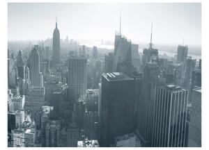 Fototapeta - New York panorama černá a bílá 250x193 + zdarma lepidlo