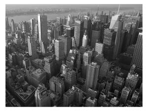 Fototapeta - New York: mrakodrapy (letecký pohled) 250x193 + zdarma lepidlo