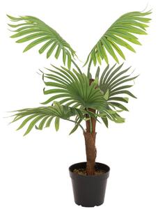 Umělá Vějířová palma, 88cm