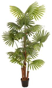 Umělá Vějířová palma, 165 cm