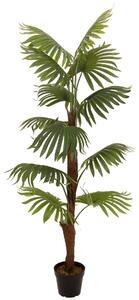 Umělá Vějířová palma, 155 cm