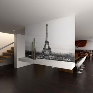 Fototapeta - Paříž: černobílé fotografie 200x154 + zdarma lepidlo