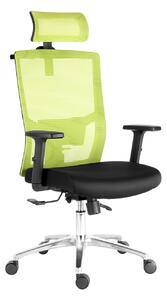 Kancelářská židle ERGODO AVILA černo-zelená