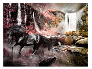Fototapeta - Černý kůň u vodopádu 200x154