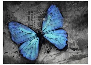 Fototapeta - Modrý motýl 200x154