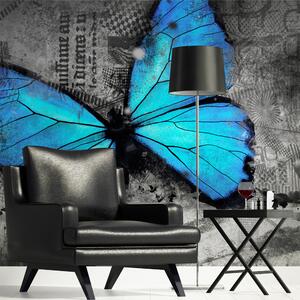 Fototapeta - Modrý motýl 200x154 + zdarma lepidlo