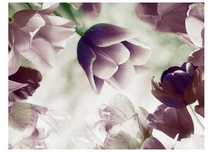 Fototapeta - Nebeské tulipány 250x193 + zdarma lepidlo