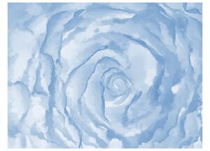 Fototapeta - Modrá růže III 250x193 + zdarma lepidlo
