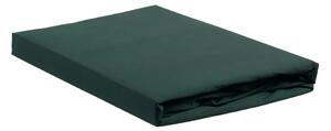 Ambiante Dark Green bavlněné prostěradlo 90x200cm, Tmavě zelené