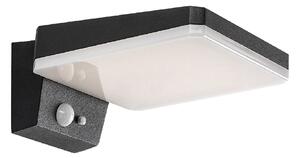 77078 Lassetvenkovní svítidlo solární LED 4,4W, 200lm, 4000K, IP54, senzor, černá