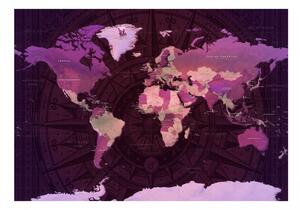 Fototapeta - Fialová mapa světa 250x175 + zdarma lepidlo