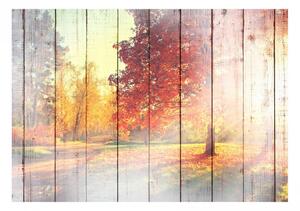 Samolepící fototapeta - Podzimní slunce 98x70