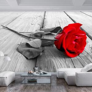 Fototapeta - Opuštěná růže 250x175 + zdarma lepidlo
